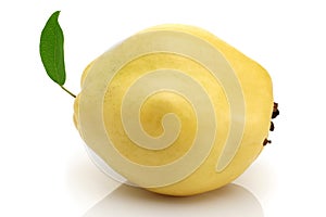 Single Quince fruit with leaf isolated on white