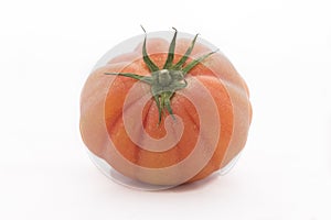 Single raf tomato on white background