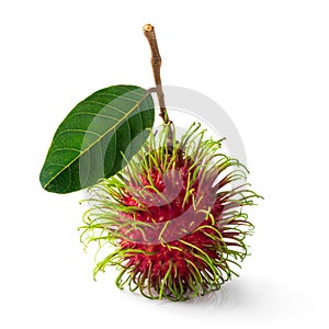 Single rambutan isolated