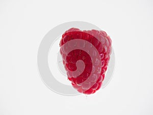 A single Rasberry seen in close-up against a white background