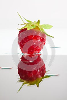 Single raspberry