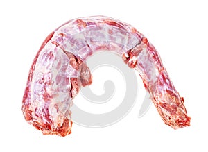 single raw Oxtail ( tail of cattle) isolated