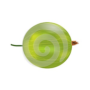 Single realistic 3d amla or Indian gooseberry mockup. Isolated on white background.