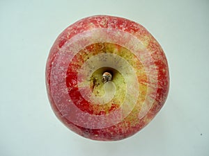 Single Red apple