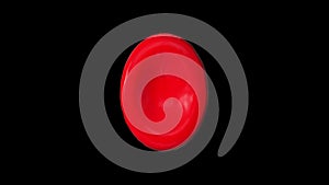 Single Red Blood Cell rotating seamless loop