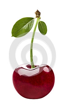 Single red cherry isolated on white background