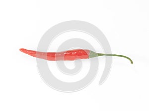 A single red chilli