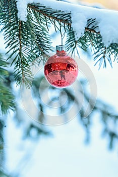 single red christmas ornament on a snow covered branch in the woods