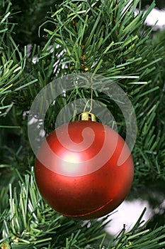 Single red christmas ornament on tree