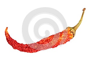 Single red dry chilli-pepper
