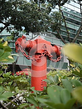 SINGLE RED FIRE HYDRANT