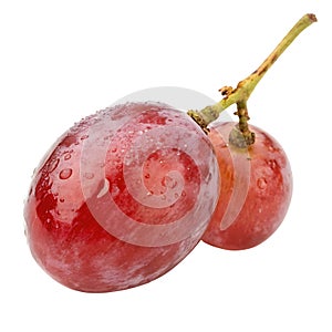 A single red grape isolated on white background