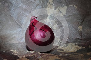 A Single Red Onion