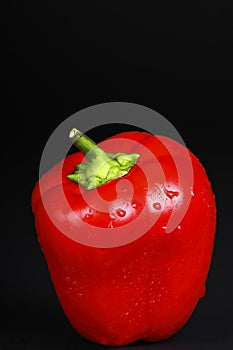 Single red organic pepper