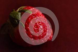 A single, red, organic strawberry.