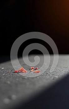 Single Red Pepper Flake on Slate