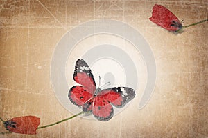 Single red petal on corolla of the poppy flower steam. Red butterfly. Minimalist style photo. Old paper textured image.