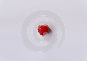 Single red raspberry on white background with space for copy