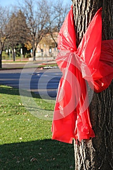 Single Red Ribbon Week Pledge Say No to Drugs photo