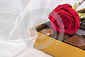 Single Red Rose, a Box of Gourmet Chocolates on White Tulle Fabric Background