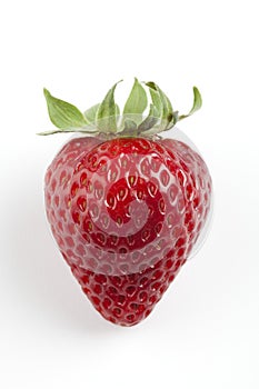 Single Red Strawberry