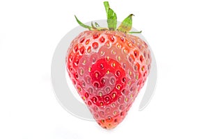Single red strawberry
