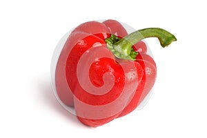 Single red sweet pepper.