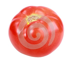 Single red tomato