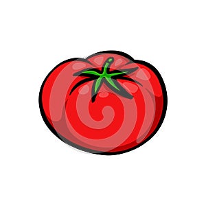 Single red tomato illustration on white background