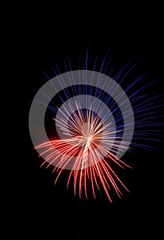 Single red, white, and blue firework against a black sky