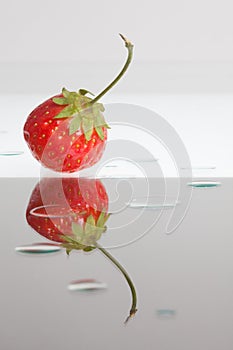 Single reflected strawberry