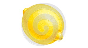A single, ripe lemon (Citrus limon) is depicted against a white background. The lemon is photo
