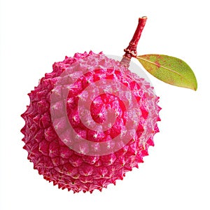 Vibrant Pink Lychee Fruit with Stem and Leaf Isolated on White Studio Background