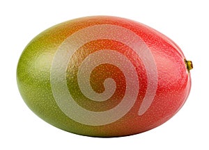 Ripe mango fruit isolated white background studio shot