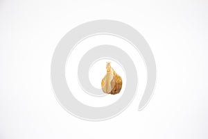 Single ripe physalis fruit. Close up studio shot, isolated on white background