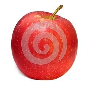 A single ripe red apple isolated on a white background