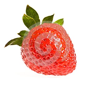 Single ripe strawberry