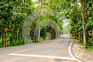 Single road in upcountry with nature beside photo