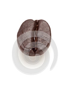 Single Roasted Coffee Bean on White