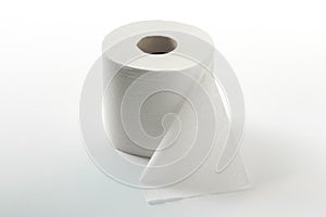 A Single Roll of Toiletpaper