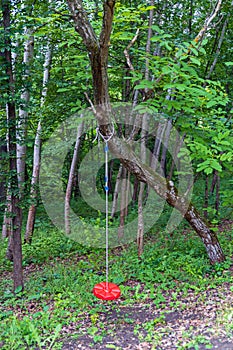 Single Rope Tree Swing