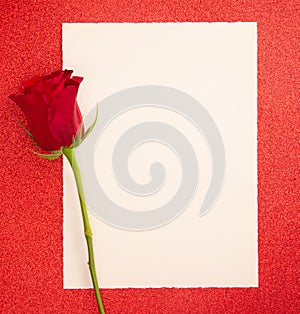 Single Rose with a Blank Page for Writing a Love Note
