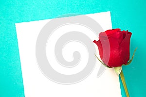 Single Rose with a Blank Page for Writing a Love Note
