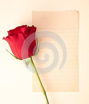 Single Rose with a Blank Page for Writing a Love Note