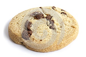 Single round chocolate chip shortbread biscuit. On white.