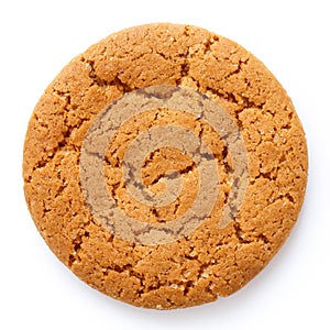 Single round ginger biscuit isolated on white from above.