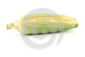 Single Row Corn