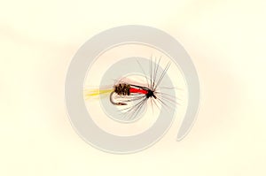 Single Royal Coachman trout fly photo