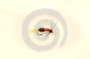 Single Royal Coachman trout fly