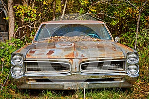 Single rusty Pontiac car from front low in forest with fall leaves on windshield